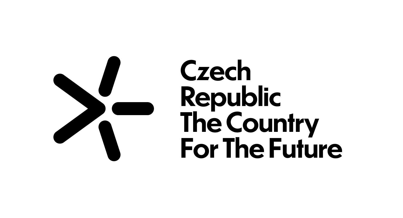 CI CZ Logo
